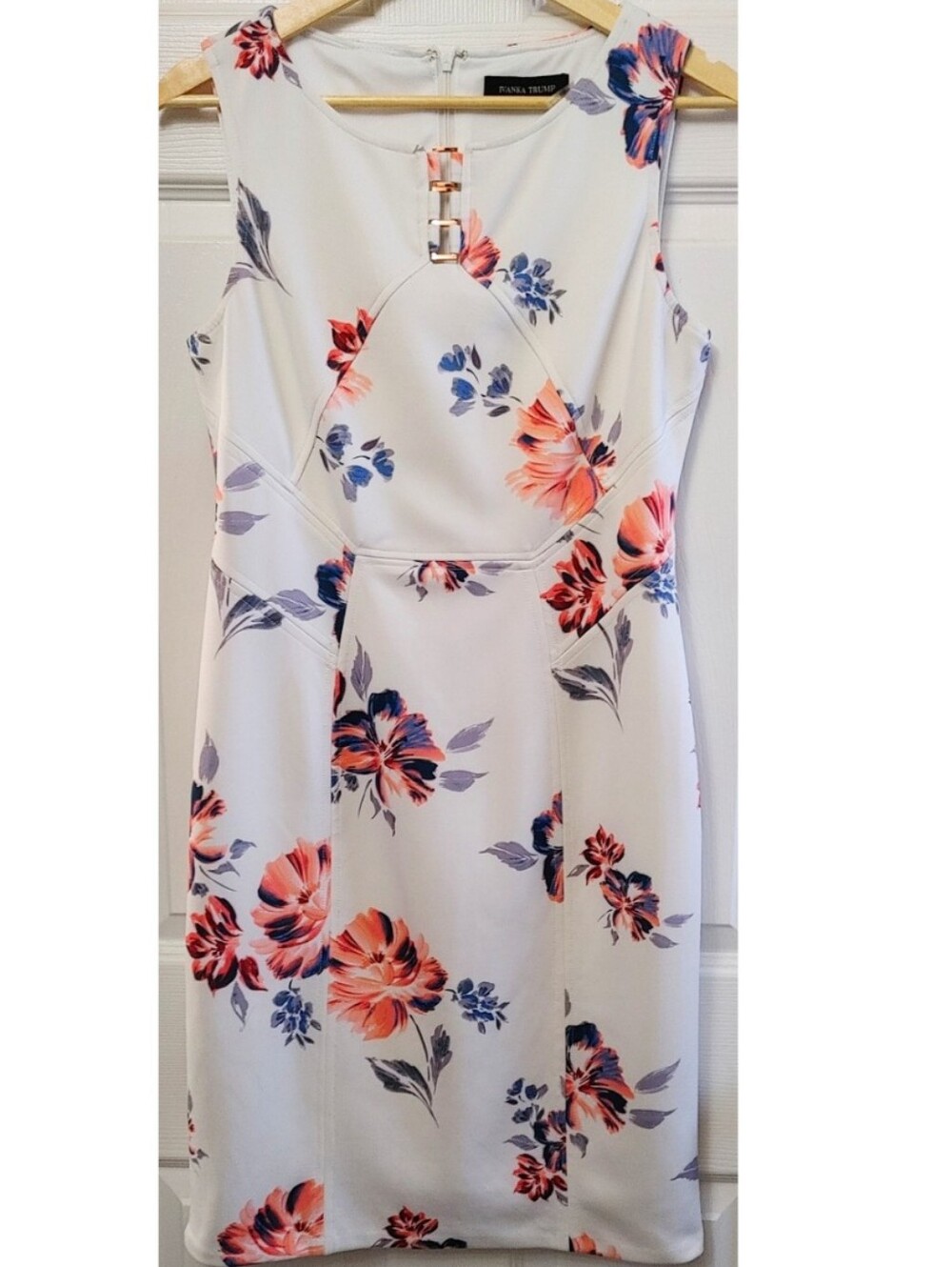 Ivanka Dress Sz 6